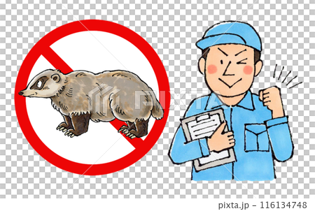 Male worker at a badger extermination company (no badger sign) 116134748