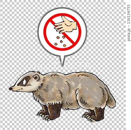 No feeding badgers sign No feeding badgers sign 116134755