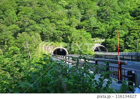 新三国トンネル 国道17号 群馬県側 新緑の季節 新三国トンネル 国道17号 群馬県側 新緑の季節 116134827