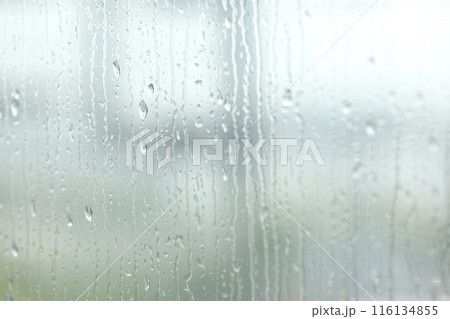 窓ガラスに滴る雨粒 窓ガラスに滴る雨粒 116134855