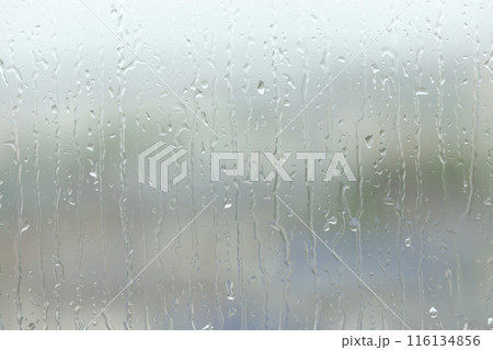 窓ガラスに滴る雨粒 窓ガラスに滴る雨粒 116134856