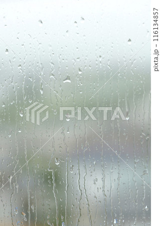 窓ガラスに滴る雨粒 窓ガラスに滴る雨粒 116134857
