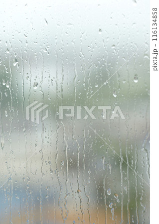 窓ガラスに滴る雨粒 窓ガラスに滴る雨粒 116134858