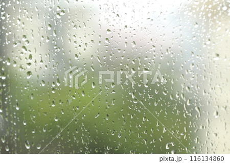 窓ガラスに滴る雨粒 窓ガラスに滴る雨粒 116134860