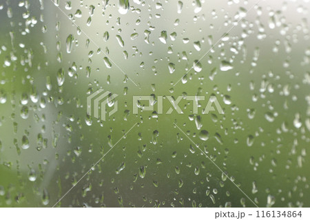窓ガラスに滴る雨粒 窓ガラスに滴る雨粒 116134864