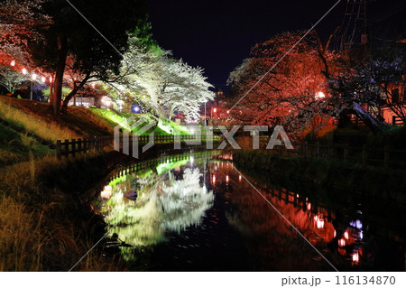 幻想的な美しさ 行屋川水辺公園の夜桜/栃木県真岡市開の行屋川水辺公園のサクラ/栃木県真岡市 幻想的な美しさ 行屋川水辺公園の夜桜/栃木県真岡市開の行屋川水辺公園のサクラ/栃木県真岡市 116134870