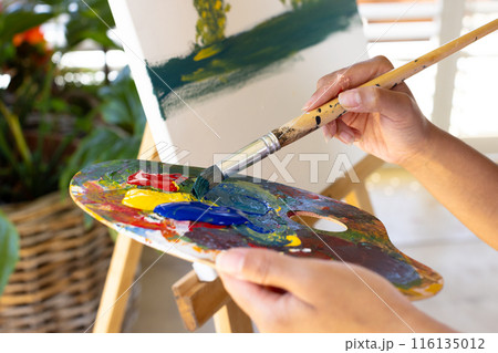 A young biracial woman is painting on canvas at home, mixing colors on a palette A young biracial woman is painting on canvas at home, mixing colors on a palette 116135012