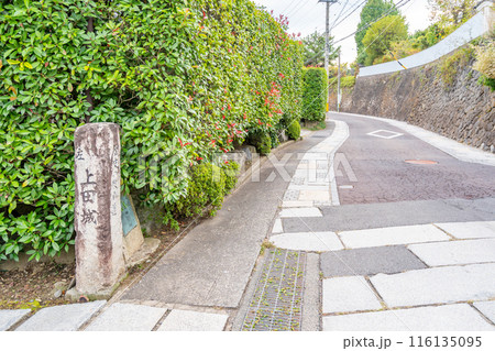 上田城　歴史の散歩道　保福寺道　浄福寺坂　延命地蔵尊 116135095
