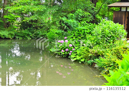 松桜閣　庭園 116135512