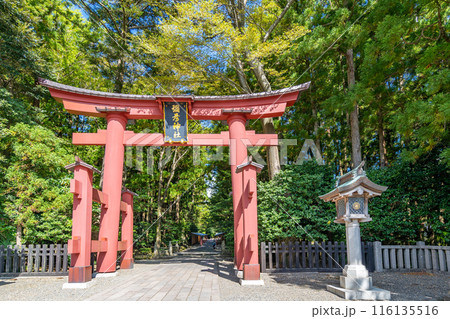越後一宮 彌彦神社　一の鳥居　かつて社殿が朱塗でその名残りから鳥居も朱塗　高さ約6m 116135516
