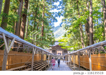 越後一宮 彌彦神社　表参道 116135519
