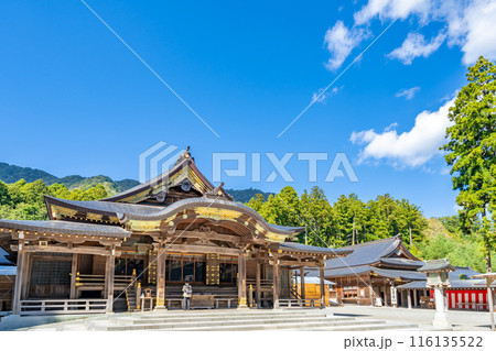 越後一宮 彌彦神社　御本殿・拝殿　三間社流造向拝付　弥彦山を背景に深い杜の境内 116135522