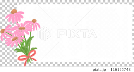 Coneflower in pink Coneflower in pink 116135748