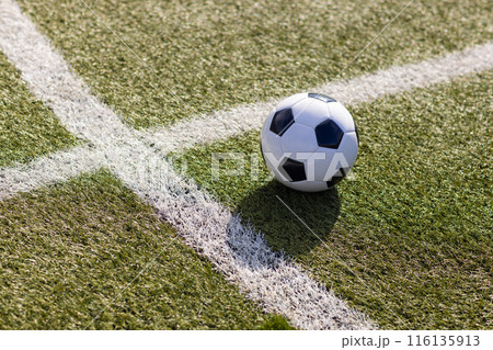 A soccer ball rests on green artificial turf at the field's white boundary line, on field outdoors, A soccer ball rests on green artificial turf at the field's white boundary line, on field outdoors, 116135913