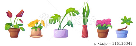 Set of flowerpots isolated on white background 116136345