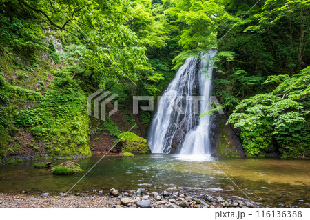 峨瓏の滝(峨瓏大滝) 峨瓏の滝(峨瓏大滝) 116136388