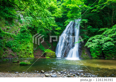 峨瓏の滝(峨瓏大滝) 峨瓏の滝(峨瓏大滝) 116136391