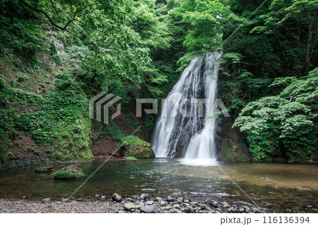峨瓏の滝（峨瓏大滝） 116136394