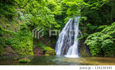 峨瓏の滝(峨瓏大滝) 峨瓏の滝(峨瓏大滝) 116136395