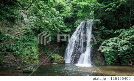 峨瓏の滝（峨瓏大滝） 116136400