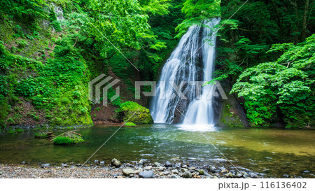 峨瓏の滝（峨瓏大滝） 116136402