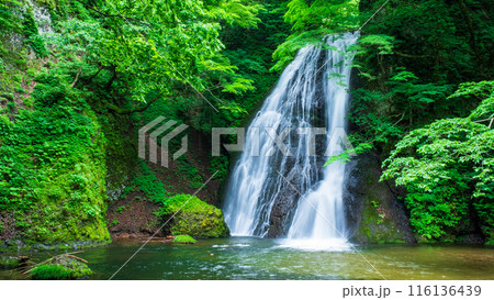 峨瓏の滝（峨瓏大滝） 116136439