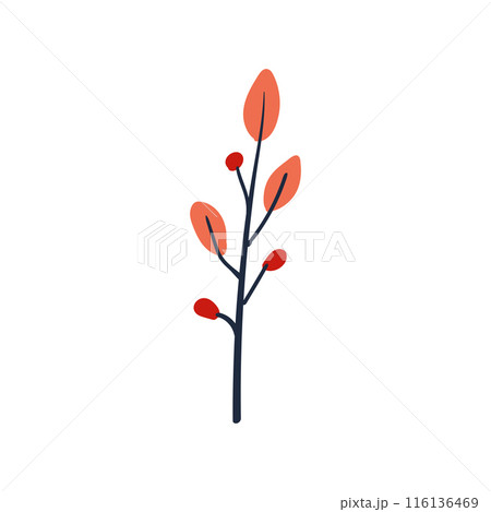 Folk plant. Simple leaves on a branch. Cartoon autumn botany. Minimalist style. Flat isolated vector illustration 116136469