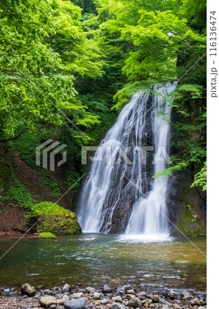 峨瓏の滝(峨瓏大滝) 峨瓏の滝(峨瓏大滝) 116136474