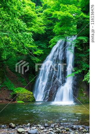 峨瓏の滝（峨瓏大滝） 116136476