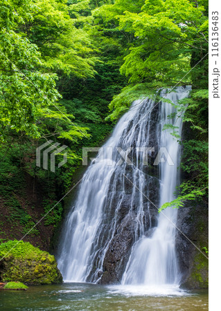 峨瓏の滝（峨瓏大滝） 116136483