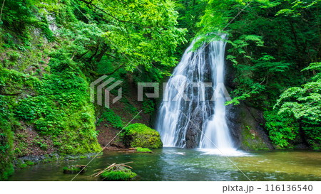 峨瓏の滝(峨瓏大滝) 峨瓏の滝(峨瓏大滝) 116136540