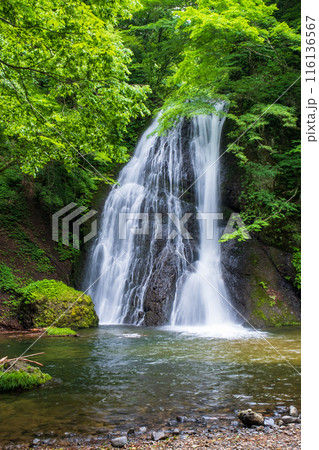 峨瓏の滝(峨瓏大滝) 峨瓏の滝(峨瓏大滝) 116136567