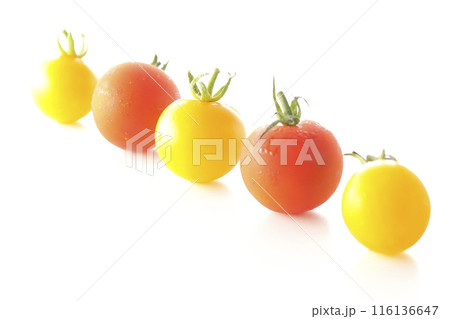 黄色と赤色のミニトマトを白背景で撮影 黄色と赤色のミニトマトを白背景で撮影 116136647