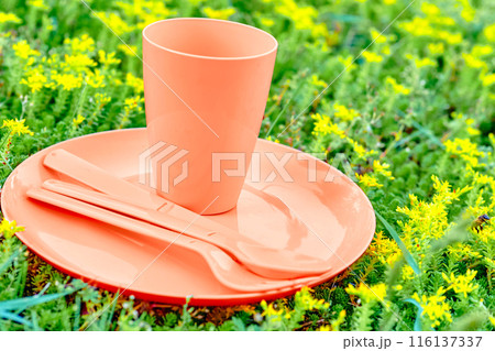 Picnic,camping.Orange plastic dinnerware set.Cup,plate,fork,knife,spoon 116137337