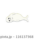 寝そべるあざらし 116137368