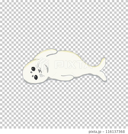 寝そべるあざらし 116137368