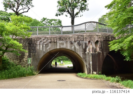 横浜市都筑区　緑道せきれいのみちとせせらぎ橋と新緑とせせらぎ公園入口 116137414