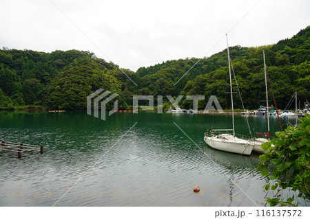 静かな湖畔 116137572