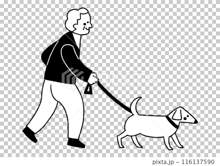 犬を散歩に連れて行くお爺さん_2 116137590