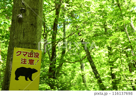 クマ出没注意の看板 116137698