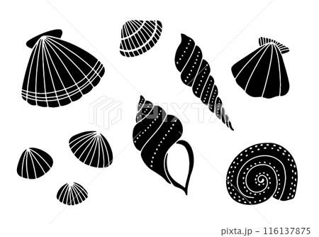美しい貝のシルエットセット 美しい貝のシルエットセット 116137875