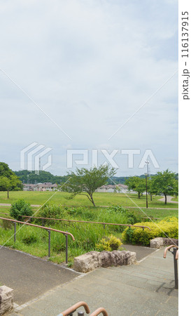 【千葉県市原市】水の江公園・芝生広場 116137915