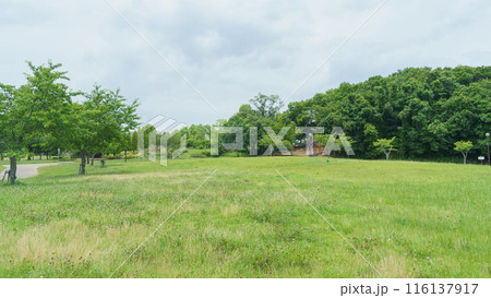 【千葉県市原市】水の江公園・芝生広場 【千葉県市原市】水の江公園・芝生広場 116137917