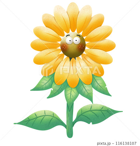 Cute sunflower Cute sunflower 116138107