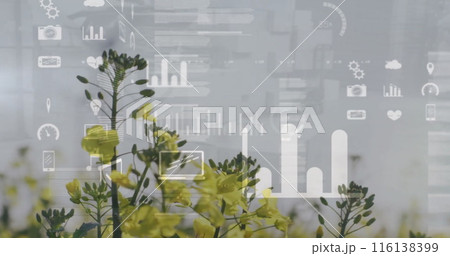 Image of data processing and diagrams over flower field 116138399