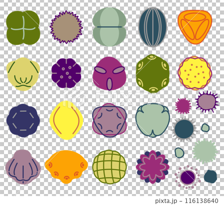 Viruses, pollen and pathogens color illustration 116138640