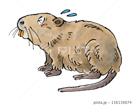 困るヌートリア 困るヌートリア 116139874