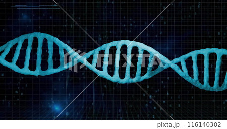 Image of data processing over dna strand on black background 116140302