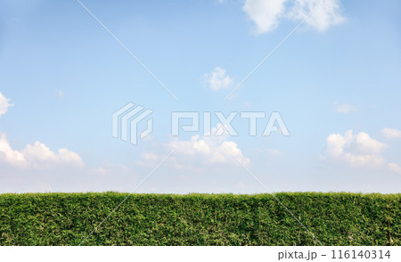 Bamboo fence, clear blue sky and cloud for background. 116140314