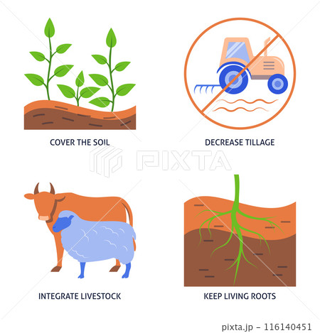 Regenerative agriculture principles icon set 116140451